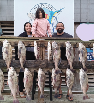 Corpus Christi Fishing Haul 